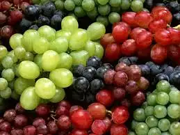 UYT.webp