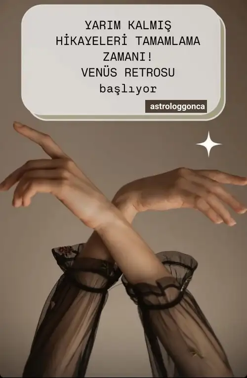v.webp