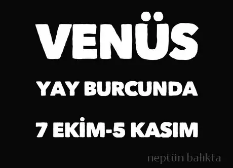 v1 (1).webp