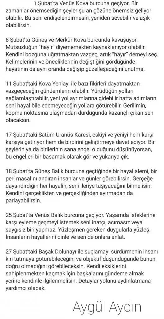 v1 (2).webp