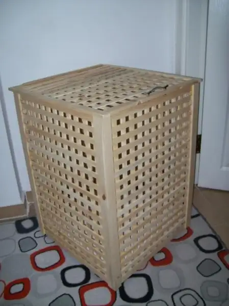v3-e1337288283614-530x707.webp