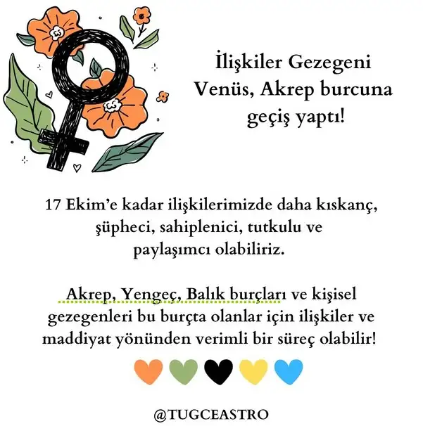 v56.webp