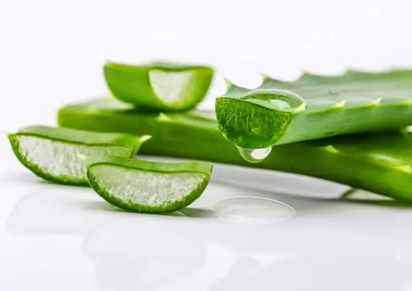 vajina_kurulugu_aloe_vera_jeli.webp