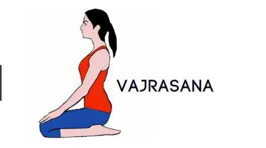 vajrasana.webp