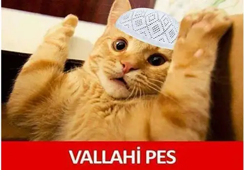vallahi pes.webp