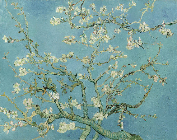 van-gogh-almond-branches-in-bloom-st-remy-1890.jpg