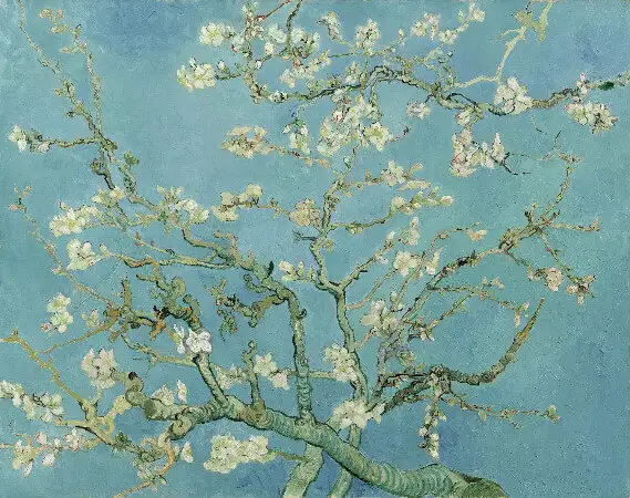 van-gogh-almond-branches-in-bloom-st-remy-1890.webp