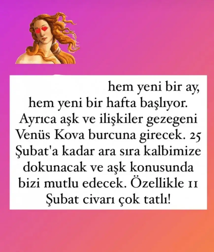 ven (1).webp