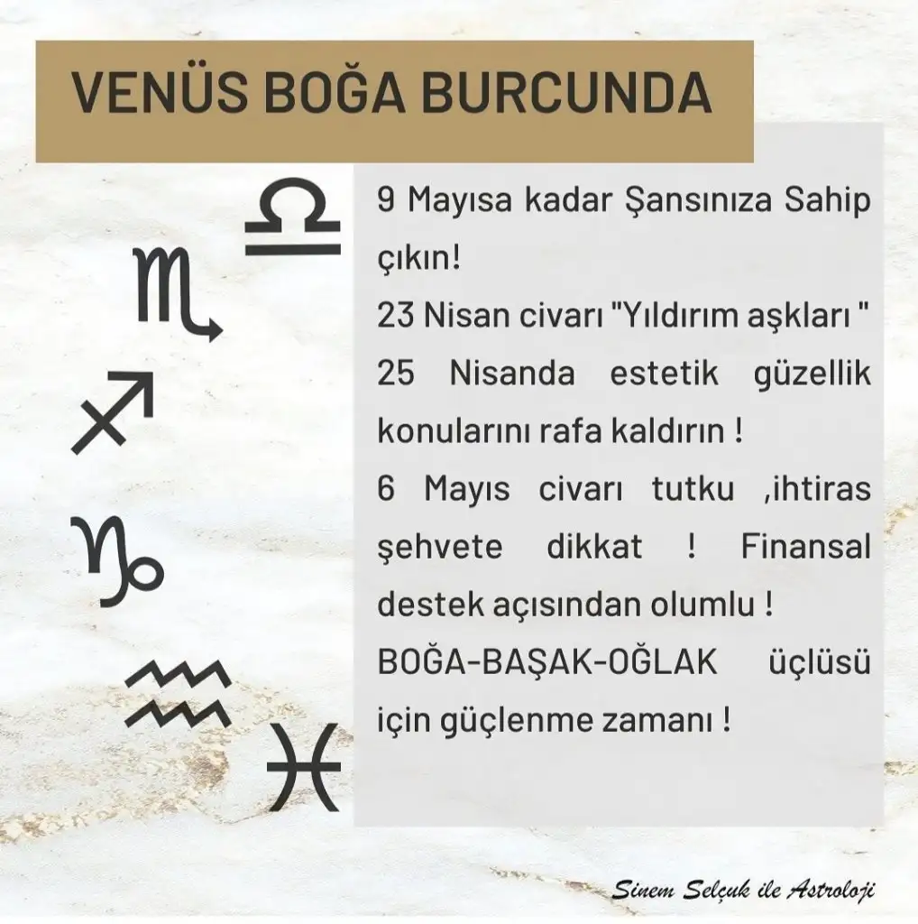 ven (1).webp
