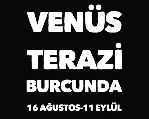 ven (1).webp