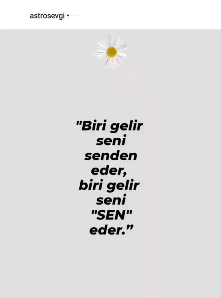 ven (2).webp