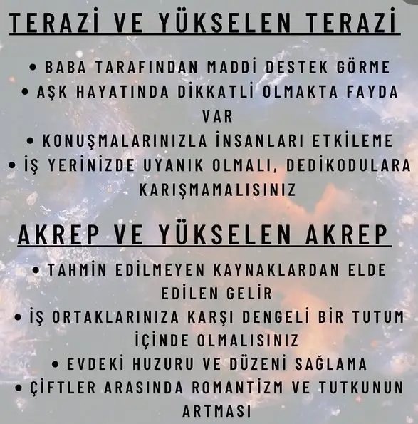 ven ak1 (5).webp