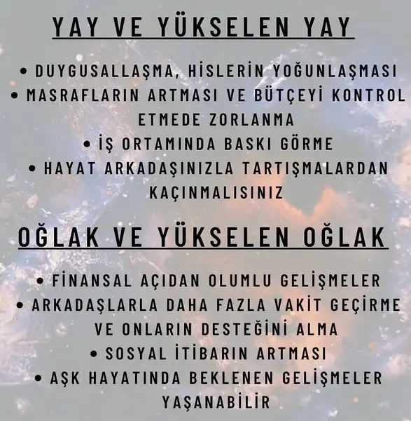 ven ak1 (6).webp