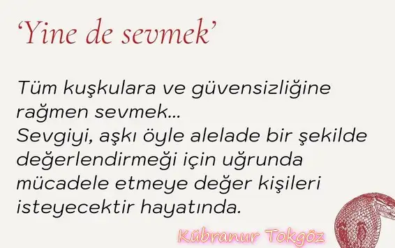 ven ak10 (2).webp
