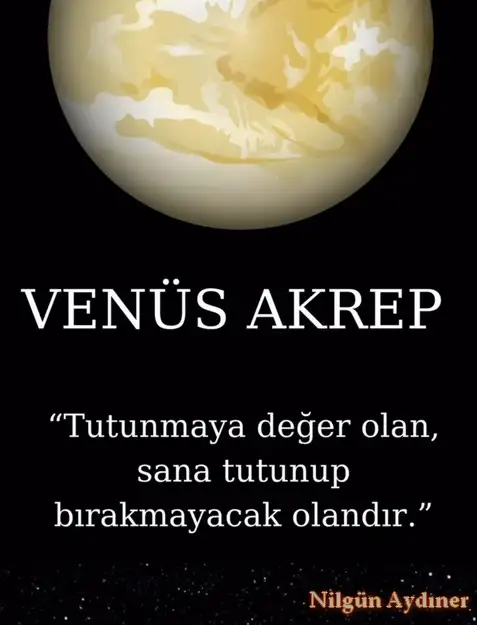 ven ak13 (1).webp