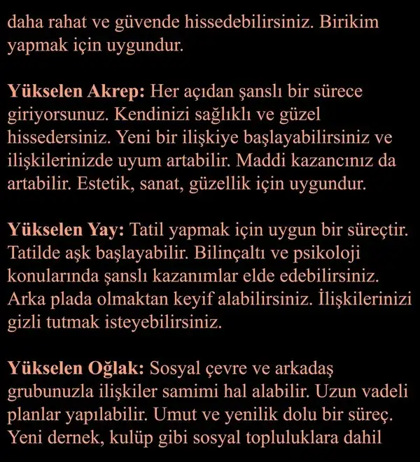 ven ak13 (6).webp