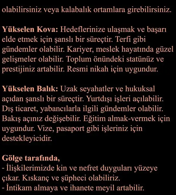 ven ak13 (7).webp