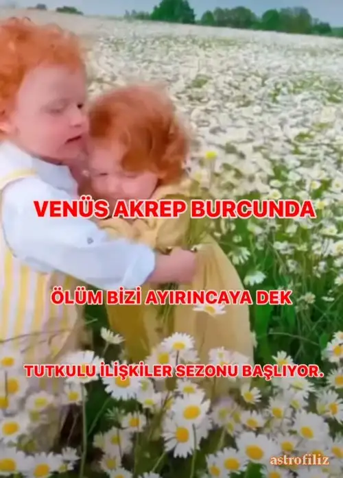 ven ak15 (1).webp