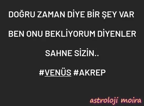 ven ak17.webp