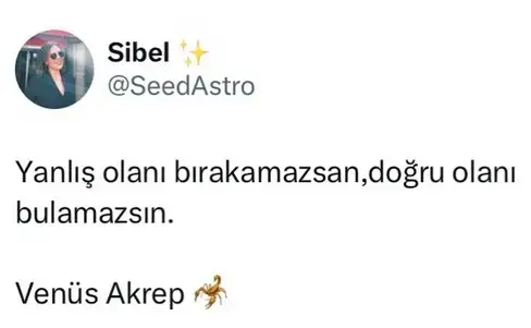 ven ak19 (1).webp