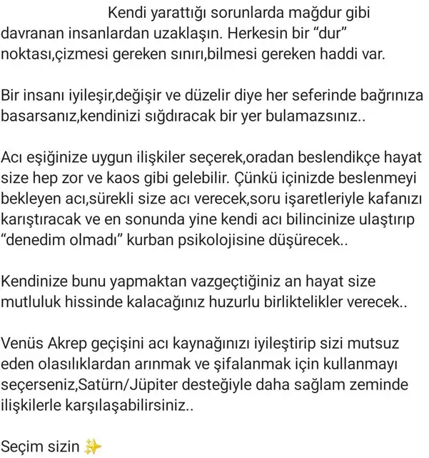 ven ak19 (2).webp