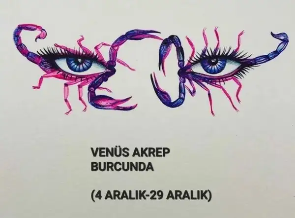 ven ak2 (1).webp
