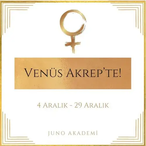 ven ak2 (1).webp