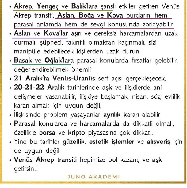 ven ak2 (4).webp