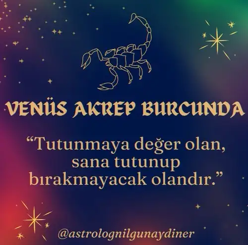 ven ak4 (1).webp