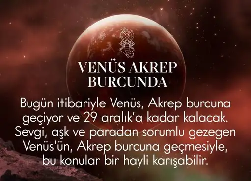 ven ak4 (1).webp