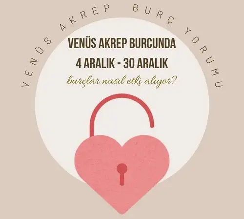 ven ak6 (1).webp