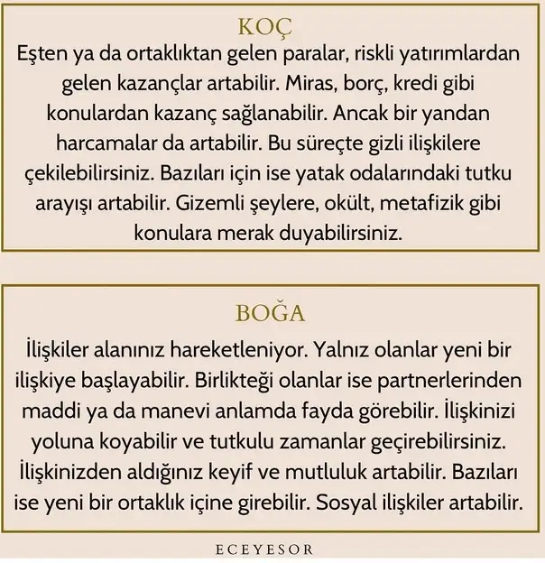 ven ak6 (2).webp