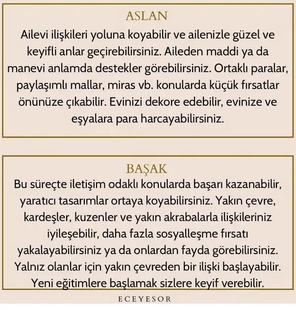 ven ak6 (4).webp
