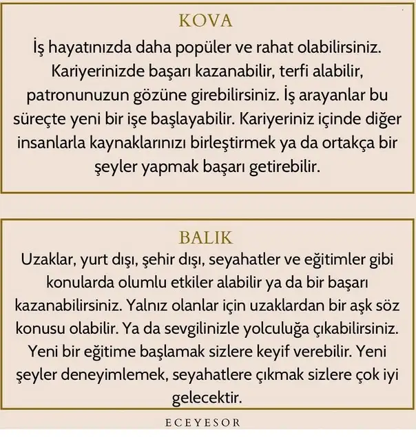 ven ak6 (7).webp