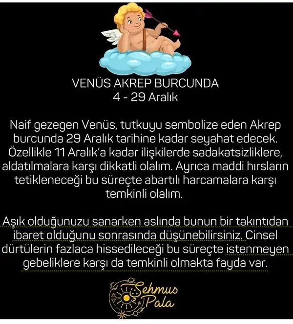ven ak6.webp
