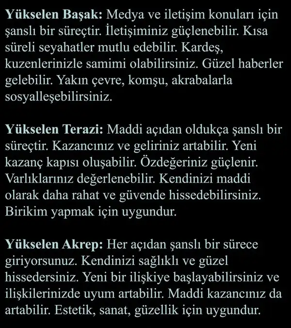 ven ak87 (4).webp