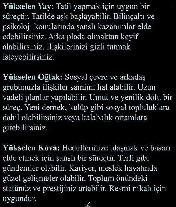 ven ak87 (5).webp