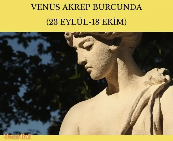ven ak9 (1).webp