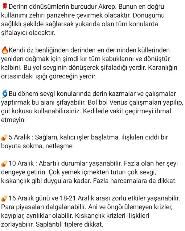 ven ak9 (3).webp