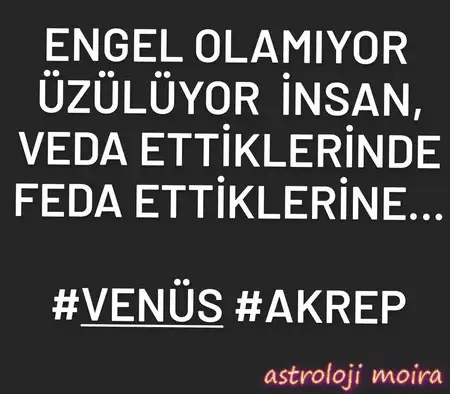 ven ak9.webp