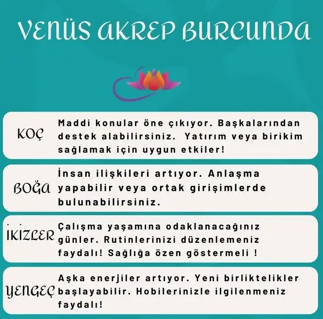 ven akrep14 (1).webp