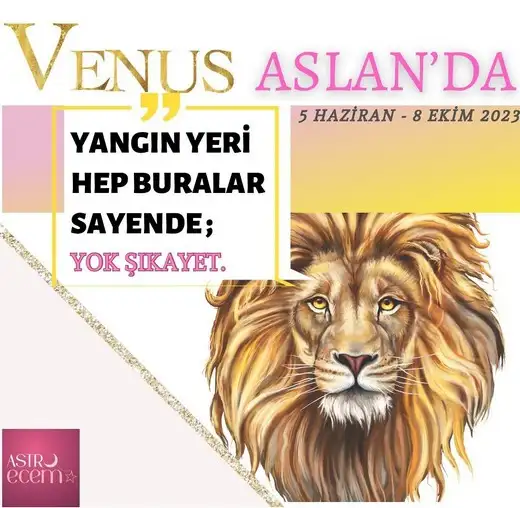 ven as 9 (1).webp