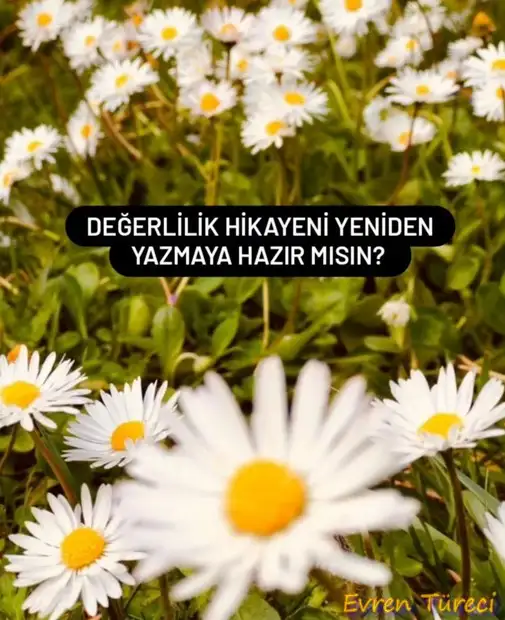 ven as ven ret (1).webp