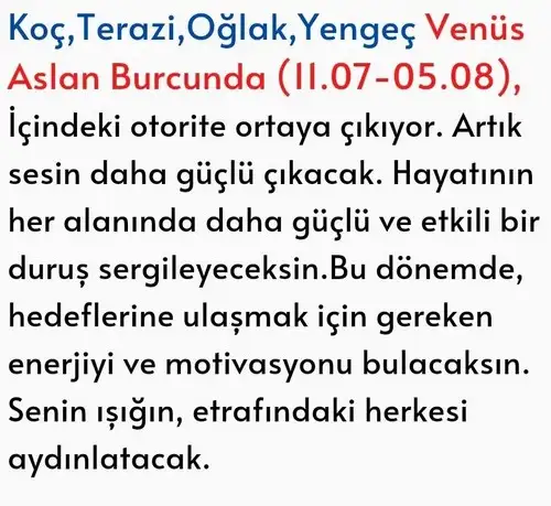 ven as34 (2).webp