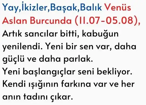 ven as34 (3).webp