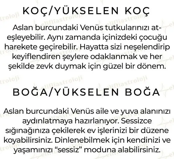 ven as7 (2).webp