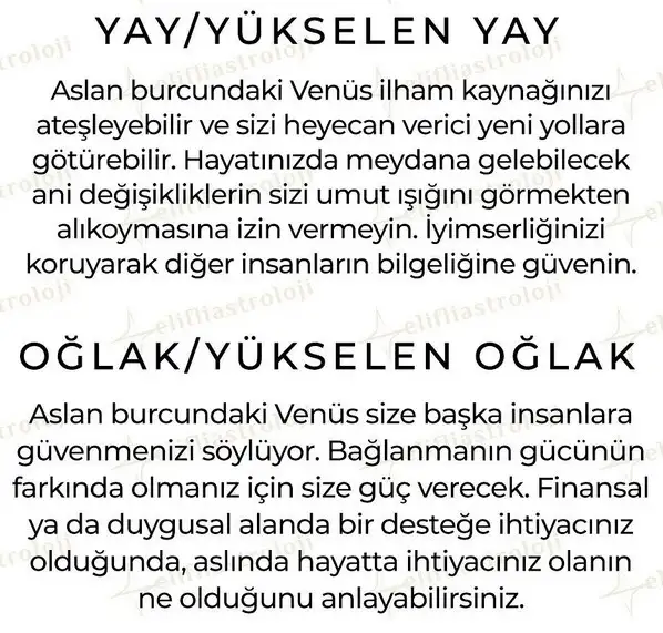ven as7 (6).webp