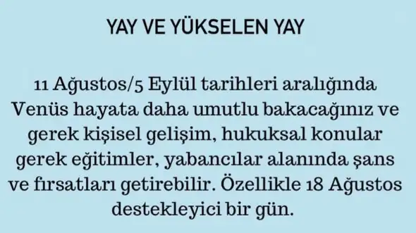 ven asl1 (10).webp