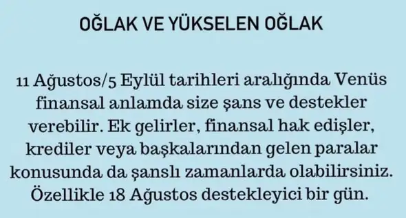 ven asl1 (11).webp