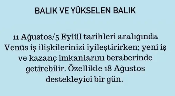 ven asl1 (13).webp